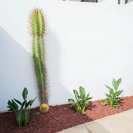 بيت للعطل House In Amarilla Golf! سان ميغيل ذي أبونا